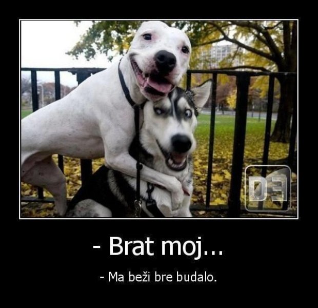 558524_281502011934645_2058489003_n.jpg, 43 KB